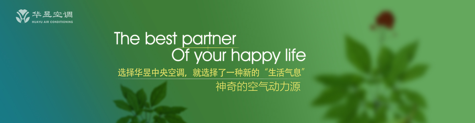 锋芒不露网